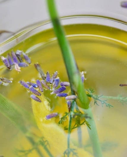 Infusion glacée de fenouil, lavande, citron et anis étoilée 