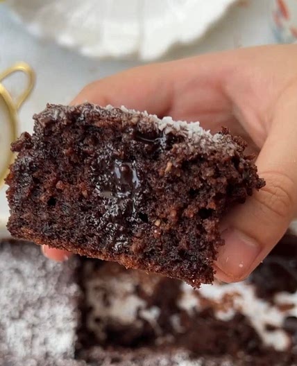 Coconut chocolate cake 
