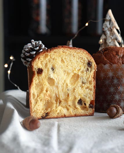 Basic Panettone
