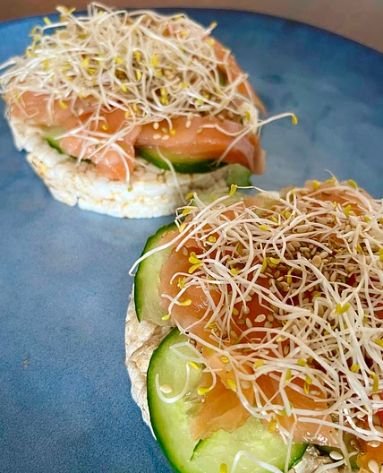 Salmon afternoon snack