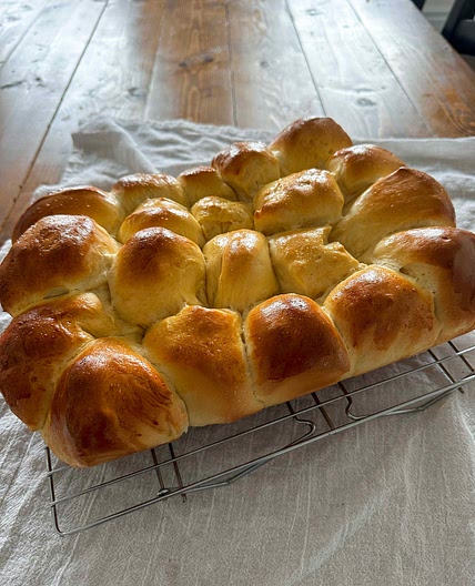 Florida rolls