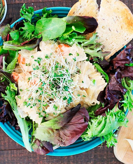 Pasta Alfredo Bowl