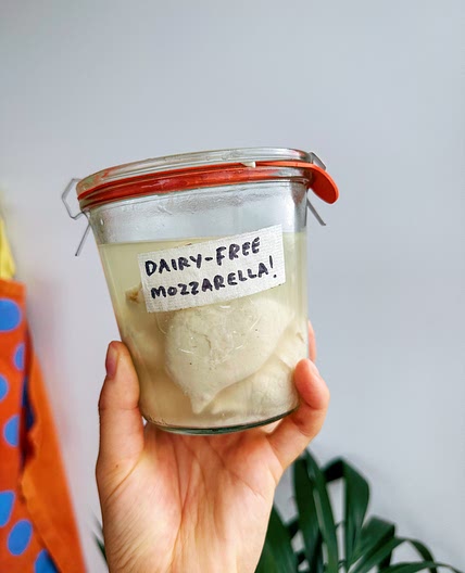 Dairy-Free Fresh Mozzarella in Brine