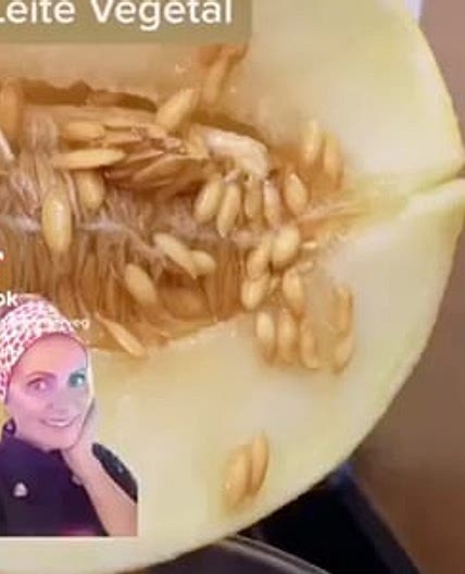Melon Seed Milk