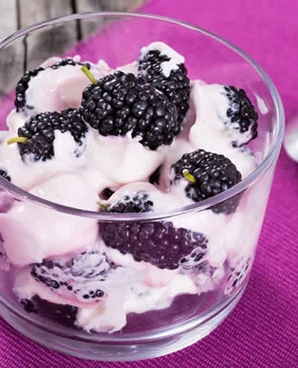 Refa: Yogurt con Mora 