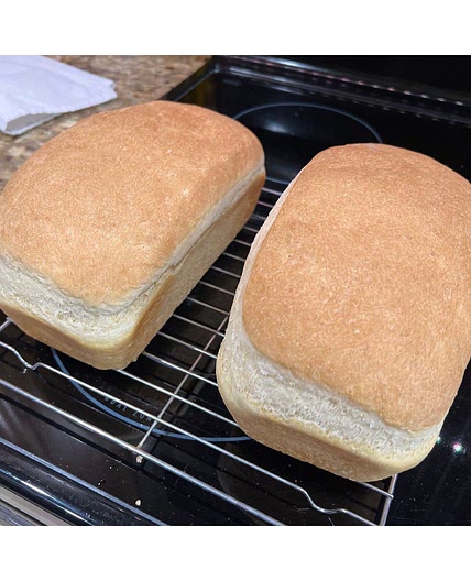 Bread Dough