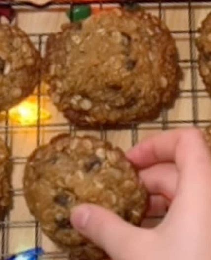 Vegan oatmeal raisin cookies