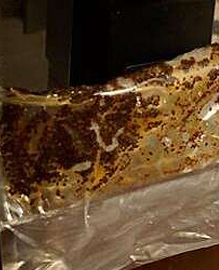 What Is Sous Vide Coffee and Why Should I Try It?