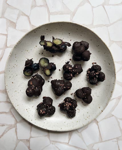 Hidden Gem Blueberry Chocolate Bites