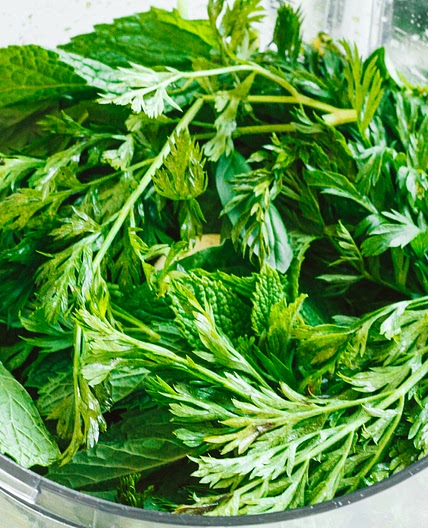Carrot Top Pesto