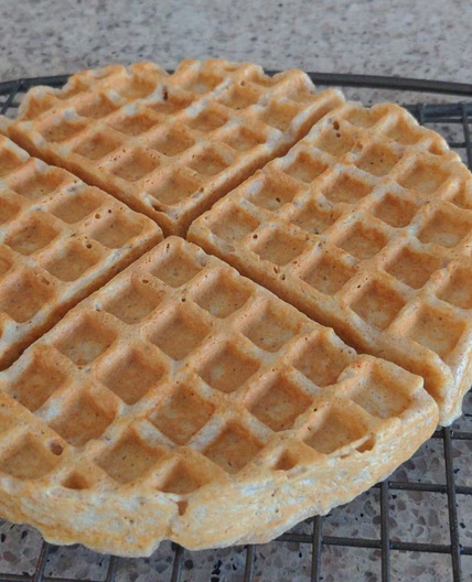 Classic Breville Waffles