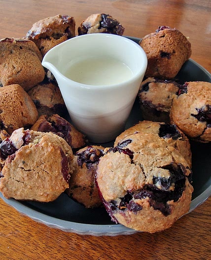 Blueberry Oats and Lentil Mini Muffins