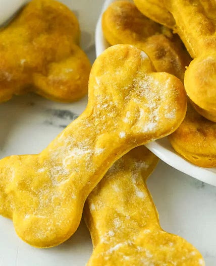 Air Fryer Pumpkin Dog Treats