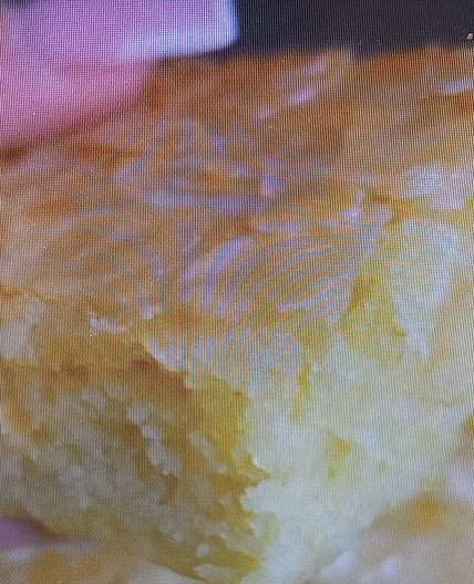 Gâteau moelleux aux amandes