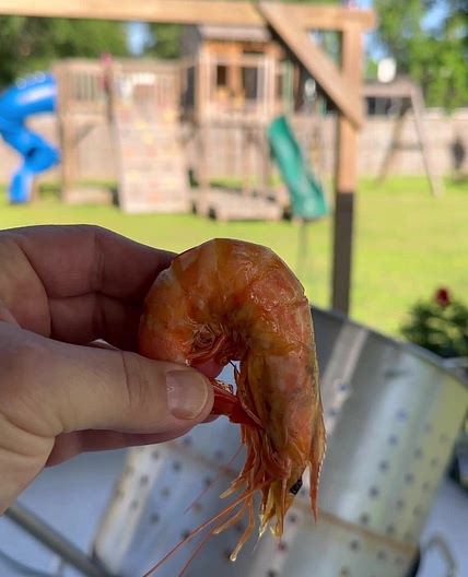 Louisiana Shrimp Boil