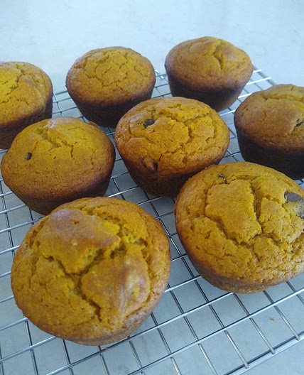 Pumpkin Chocolate Chip Muffins