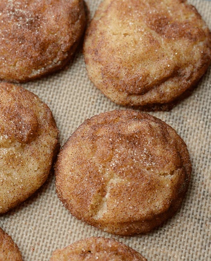 Keto Snickerdoodles