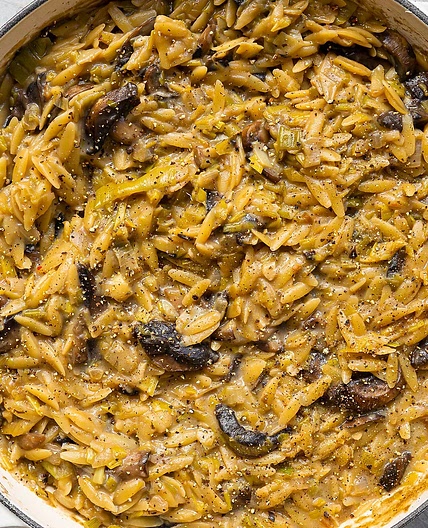 creamy leek & portobello mushroom orzo