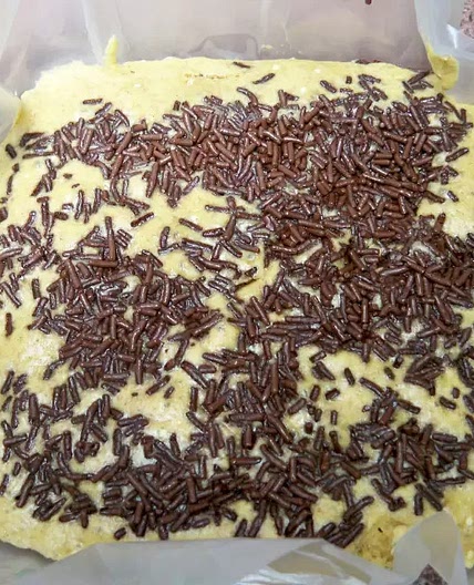 Pan Integral de Arándanos y Chispas de Chocolate