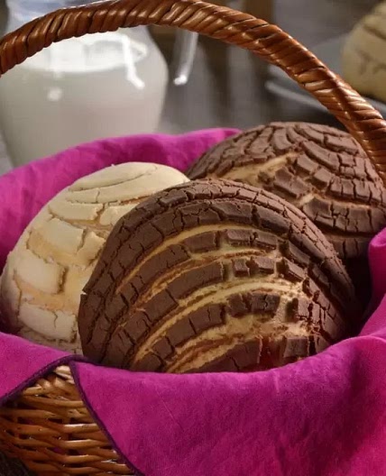 Conchas Esponjosas