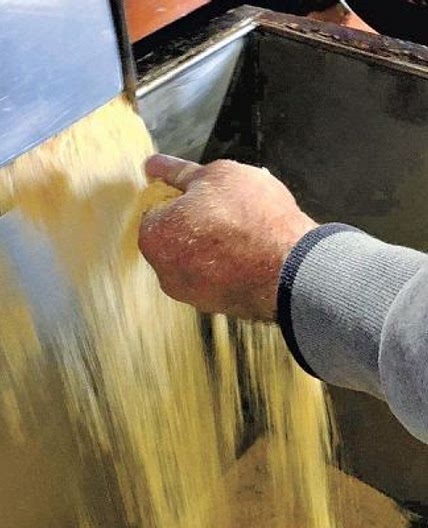 For Perfect Polenta, It's Time to Stop Stirring