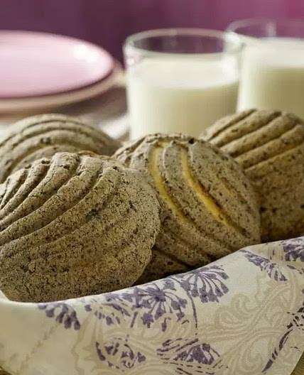 Conchas de Oreo