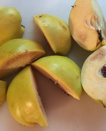 Quince Chutney Recipe - The Accidental Locavore