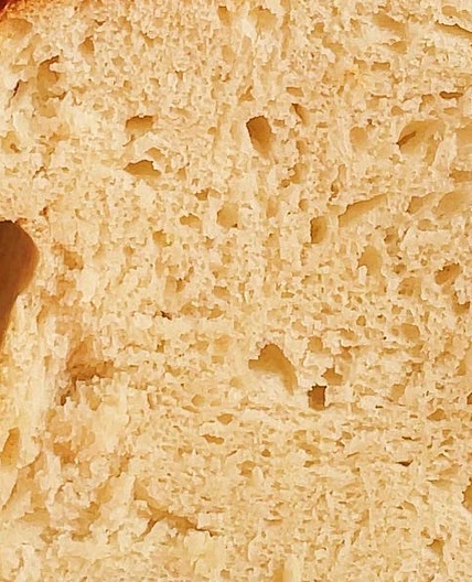 Cottage Cheese Bread