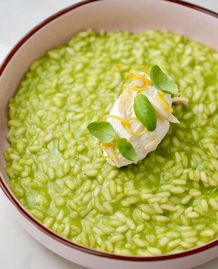 Basil risotto with sea bream
