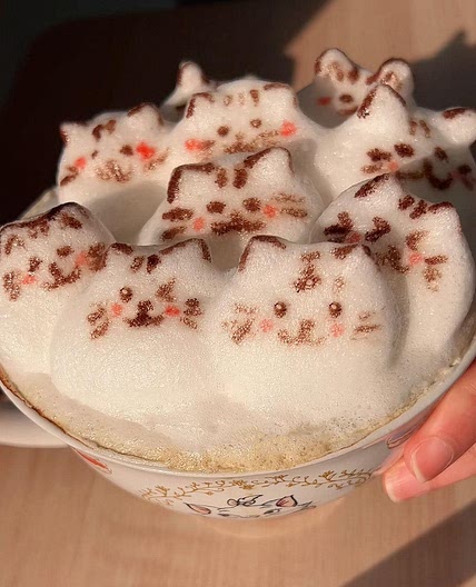 3D Cat Latte