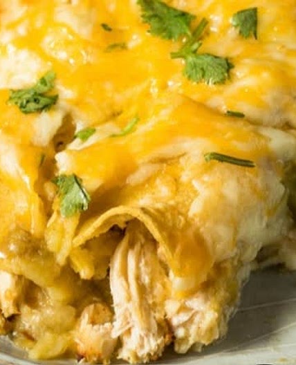 Canned Chicken Enchiladas