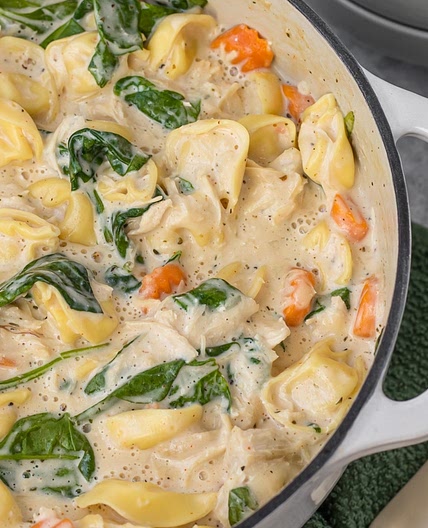 Chicken Alfredo Soup with Tortellini