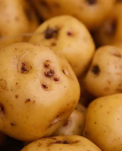 Papas Criollas en Freidora sin Aceite