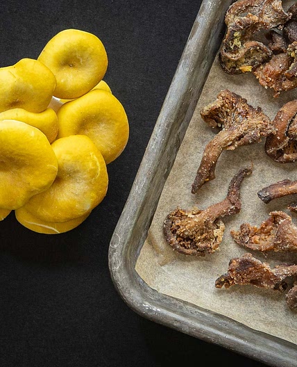 Crispy Baked Oyster Mushrooms