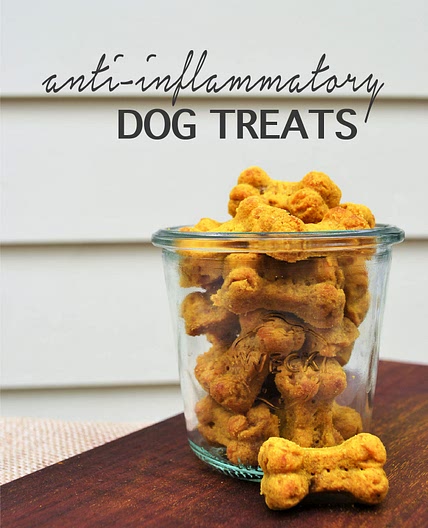 Anti-Inflammatory Dog Treats