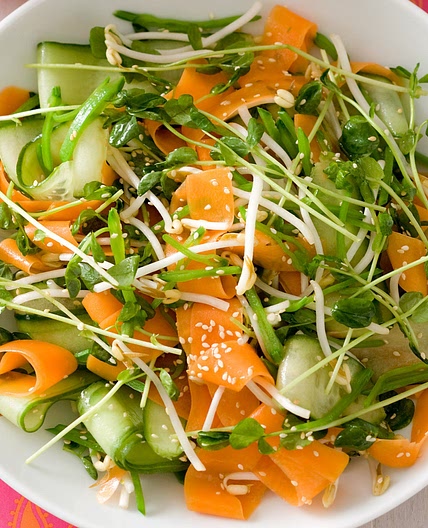 Asian carrot and sprout salad