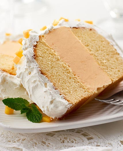 Fruit Sorbet Cake
