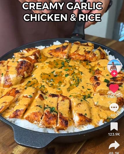 Creamy garlic chicken and rice