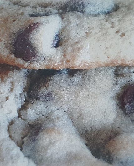 Home Bakery Chocolate Chip Cookies
