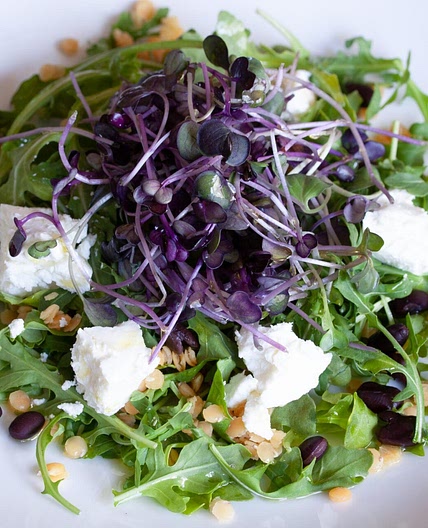 Lentils, Black Beans, Goat Cheese & Baby Green Salad
