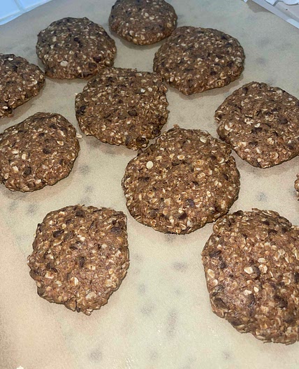 Chocolate Peanut Butter No-Bake Protein Cookies