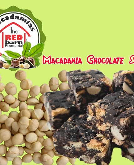 Macadamia Chocolate Squares