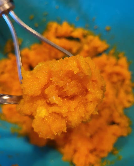 Roasted Butternut Squash Puree