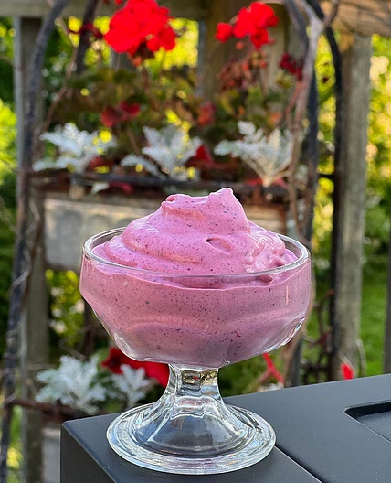 Easy Greek Yogurt Ice Cream