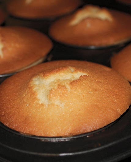 Vanilla Cupcakes
