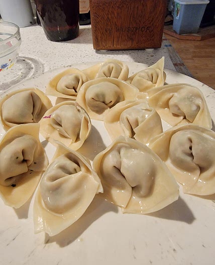 Shrimp and Pork Wontons