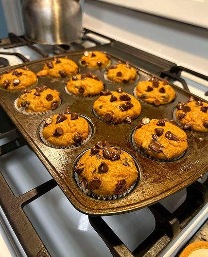 Pumpkin Chocolate Chip Muffin