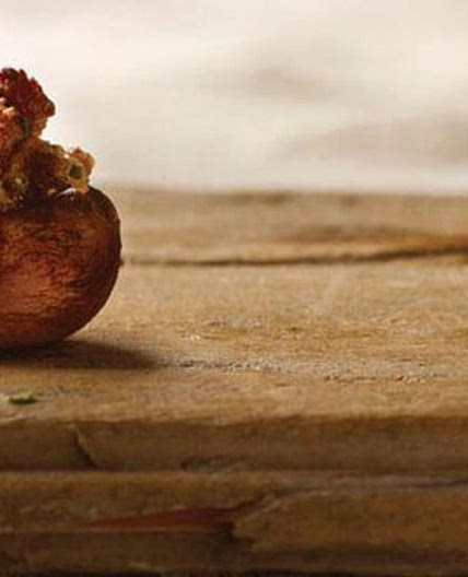 Stuffed Mushrooms