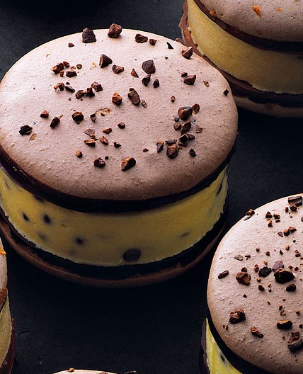 Ice cream sandwich
