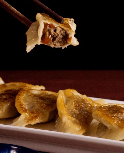 Cheeseburger Potstickers